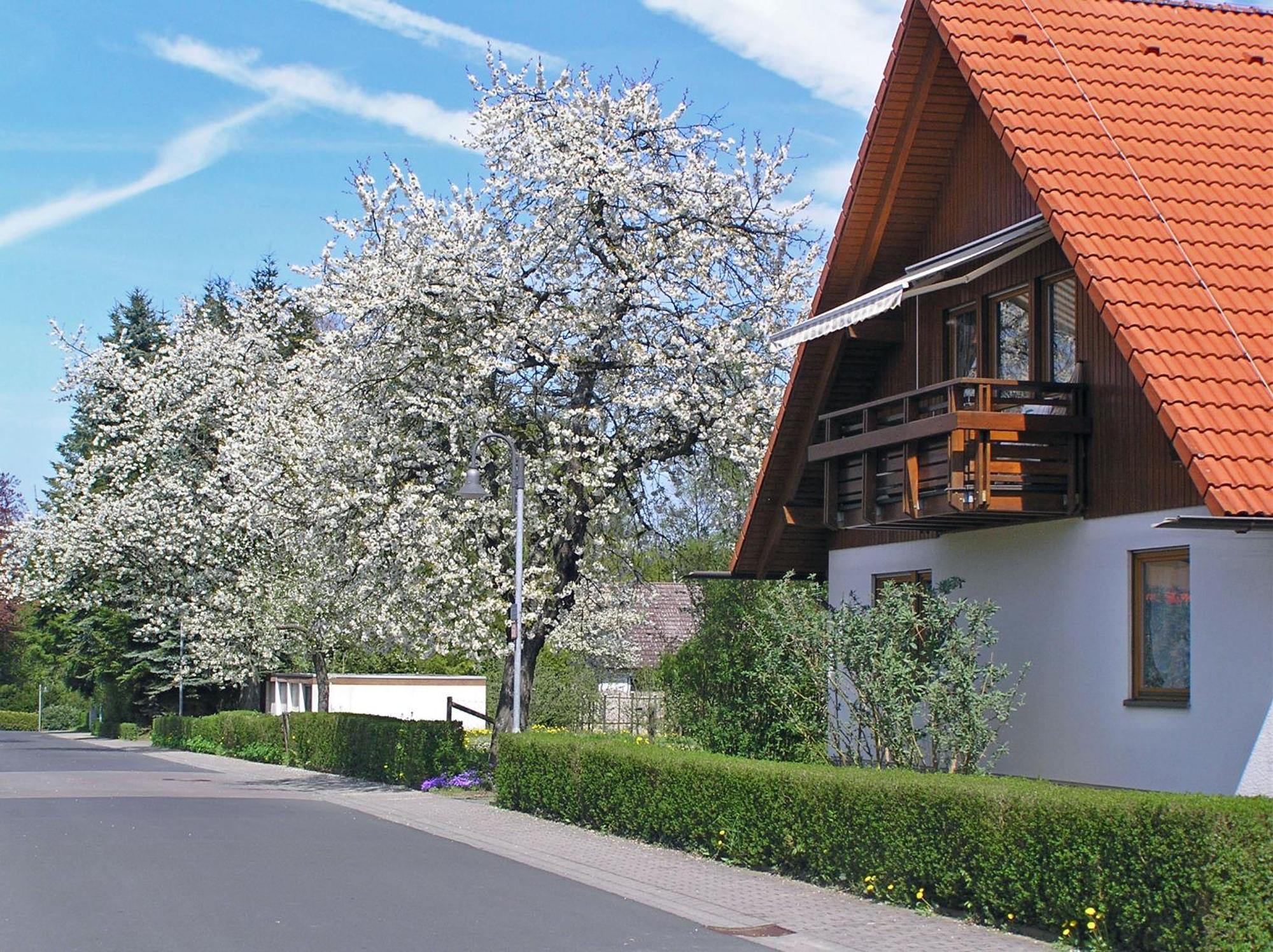 Ferienwohnung Am Schlosspark Schlitz Exterior photo